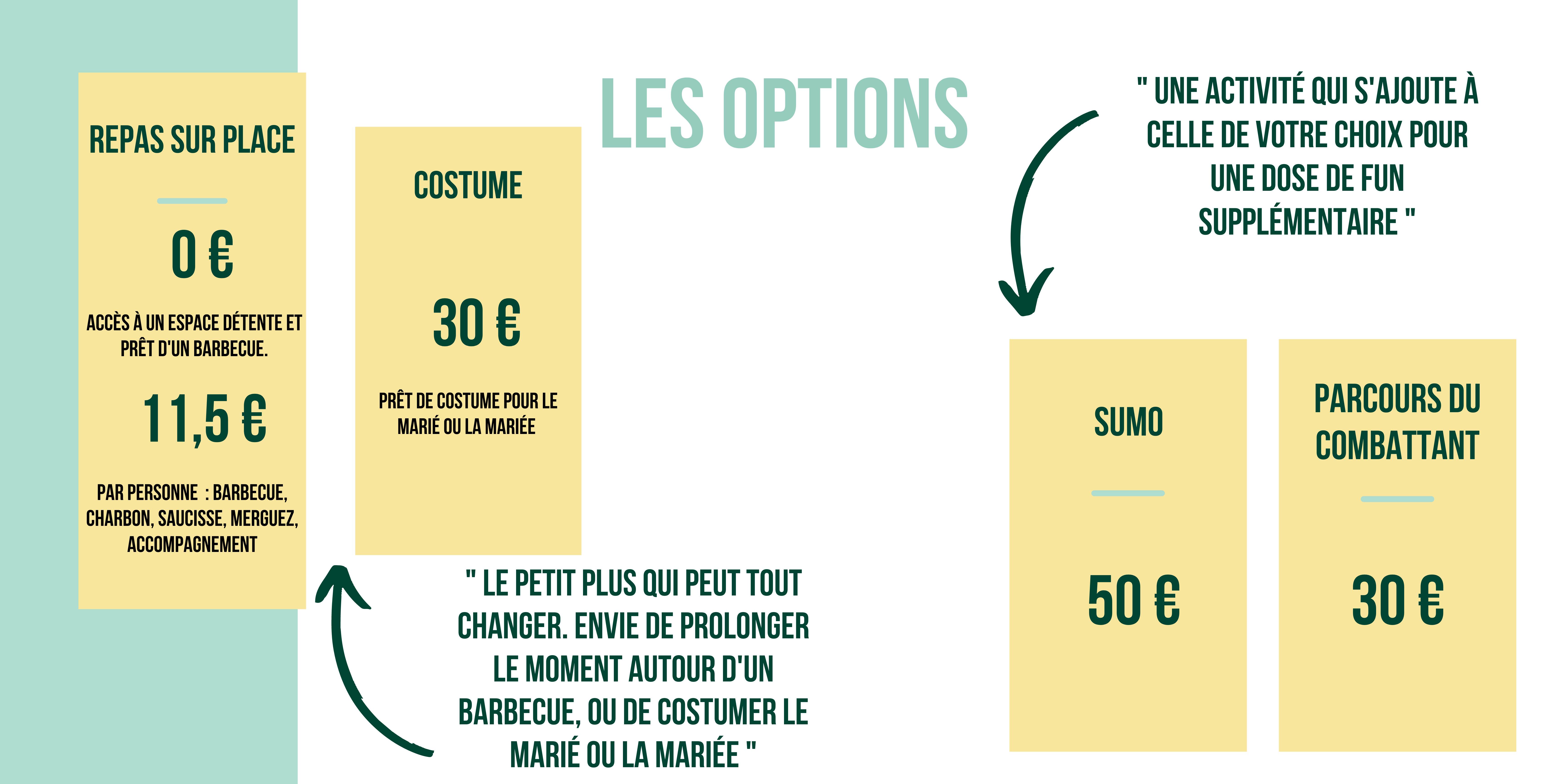 Les OPTIONS EVC